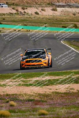 media/Feb-25-2024-Speed Ventures (Sun) [[b9a2a97a4d]]/Mustang Drivers Club/Session 3 (Turn 2)/